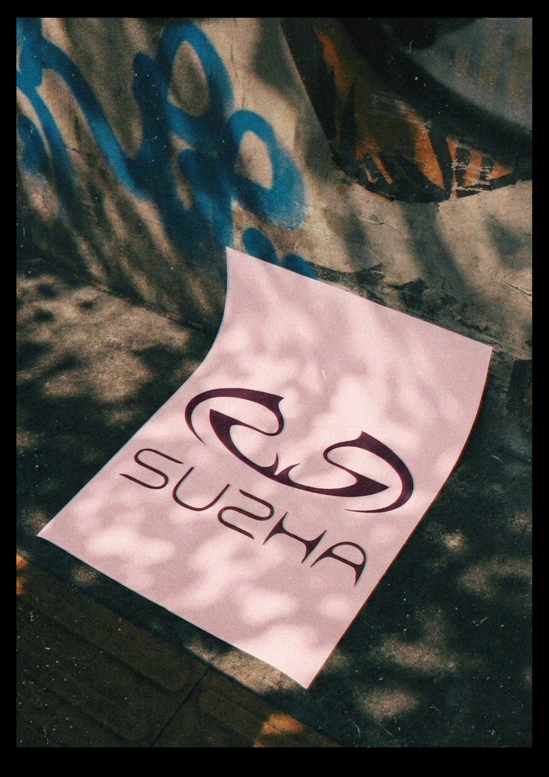 Póster SUSHA